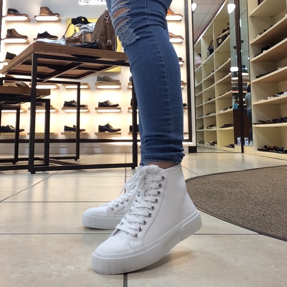 steve madden chanced sneaker